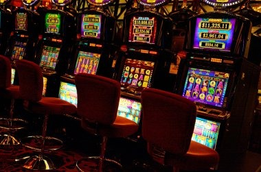 Wild Coaster live dealer table interface on nuansa4d